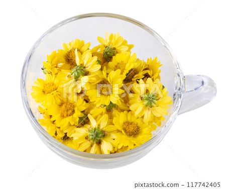 Yellow Chrysanthemum flowers isolated on white background 117742405