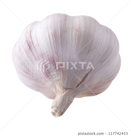 Close up raw garlic isolated on a white background Close up raw garlic isolated on a white background 117742453
