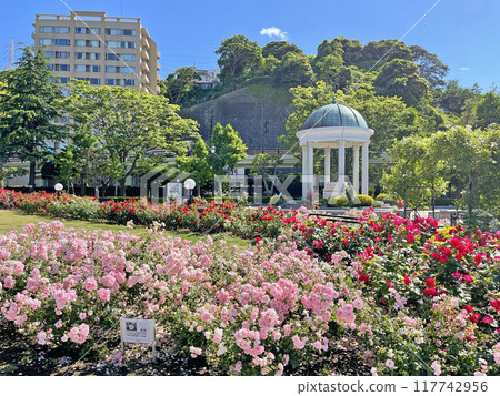 神奈川縣橫須賀市鹽入町橫須賀維爾尼公園 117742956