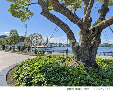 Yokosuka Verny Park, Shioiri-cho, Yokosuka City, Kanagawa Prefecture 117742957