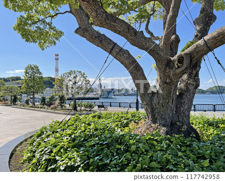 Yokosuka Verny Park, Shioiri-cho, Yokosuka City, Kanagawa Prefecture 117742958