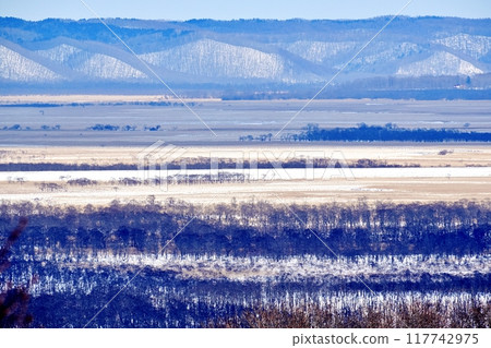 釧路濕原的冬季景色 117742975