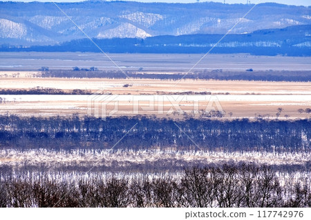 釧路濕原的冬季景色 117742976