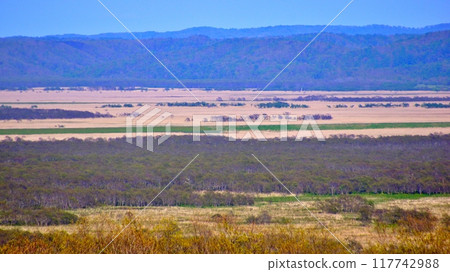 釧路沼澤的風景 117742988