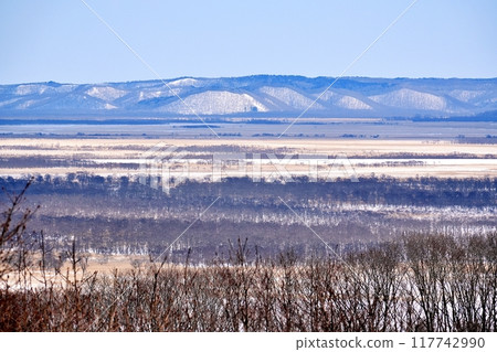 釧路濕原的冬季景色 117742990