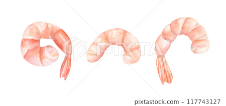Pink peeled shrimps watercolor illustration clip art. Three red boiled cooked tiger prawn set in realistic painting style. Seafood cooking ingredient for menu, recipe design, cookbooks Pink peeled shrimps watercolor illustration clip art. Three red boiled cooked tiger prawn set in realistic painting style. Seafood cooking ingredient for menu, recipe design, cookbooks 117743127