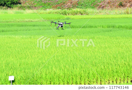 Pesticide spraying by agricultural drones Pesticide spraying by agricultural drones 117743146