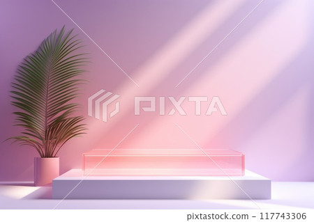 Transparent Rectangular Platform with Palm Plant 117743306
