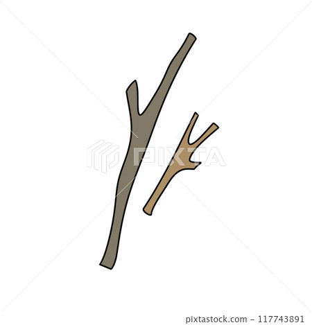 Two branches are shown, one is long and the other is short 117743891