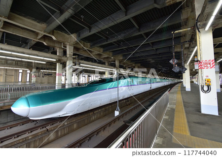 Shinkansen H5 series train 117744040