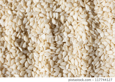 White sesame background, macro top view. 117744127