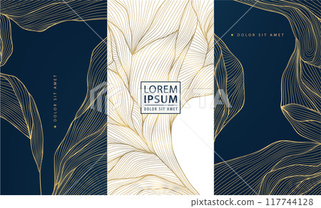 Vector set of gold floral patterns, line luxury frames, wedding background. Wine labels, ornaments, wave cards. Fancy royal design elements, vintage borders, elegant package 117744128
