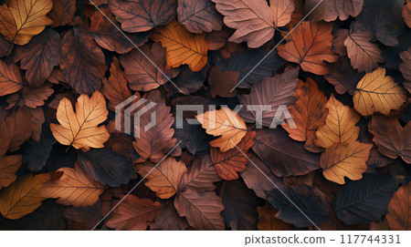 Simple background material of brown dead leaves 117744331