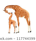 giraffe mother and child , watercolor painting 117744399