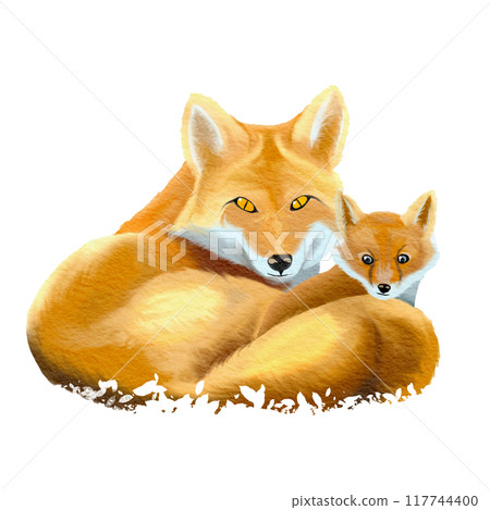 fox mother and child , watercolor painting fox mother and child , watercolor painting 117744400