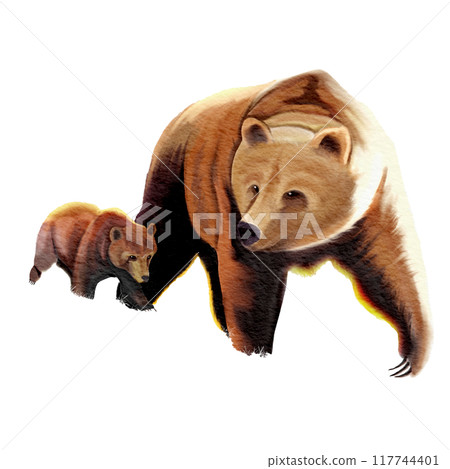 bear mother and child , watercolor painting 117744401
