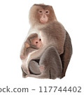 monkey mother and child , watercolor painting 117744402