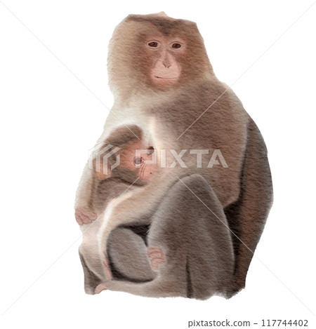 monkey mother and child , watercolor painting 117744402