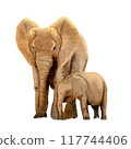 African elephant mother and child , watercolor painting 117744406