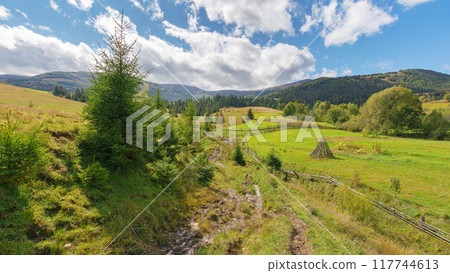 carpathian rural landscape in autumn. beautiful countryside scenery of ukraine on a sunny day. valley at the foot of borzhava ridge in transcarpathia carpathian rural landscape in autumn. beautiful countryside scenery of ukraine on a sunny day. valley at the foot of borzhava ridge in transcarpathia 117744613