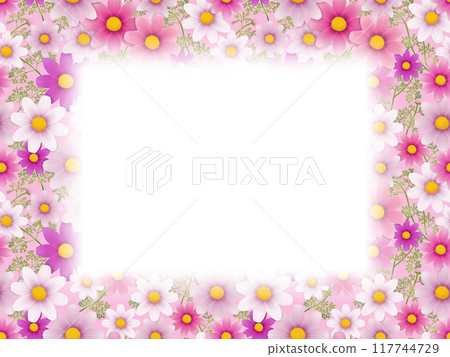 Cosmos Frame B-1 Cosmos Frame B-1 117744729