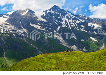 Grossglockner high mountain road in Austria. Surrounded by mountains and green forests. Landscape with nature in the Alps. A great place for sports, recreation and outdoor activity holidays. Grossglockner high mountain road in Austria. Surrounded by mountains and green forests. Landscape with nature in the Alps. A great place for sports, recreation and outdoor activity holidays. 117744904