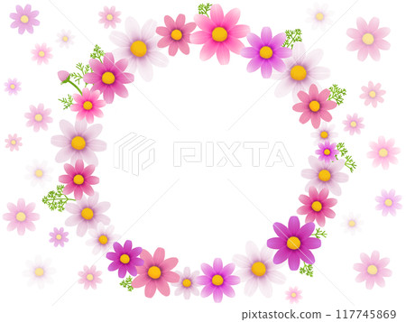 Cosmos Frame C-1 117745869