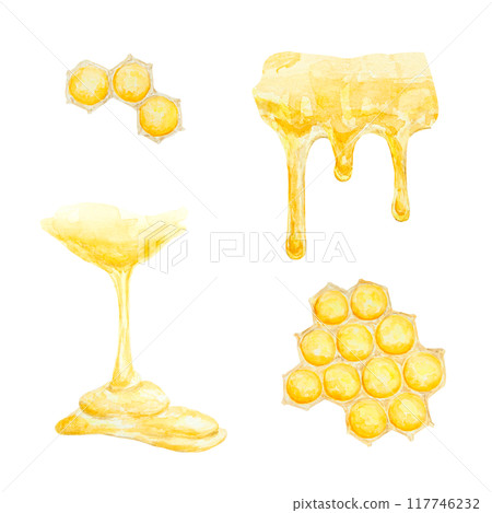 Sweet honey. Watercolor hand drawn illustration. Isolated, cut out clip art. The drawing is suitable for prints, stickers, beekeeping product packaging design, spa treatments, cosmetics, cooking Sweet honey. Watercolor hand drawn illustration. Isolated, cut out clip art. The drawing is suitable for prints, stickers, beekeeping product packaging design, spa treatments, cosmetics, cooking 117746232