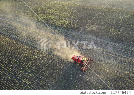 Wheat harvest in the Argentine countryside, La Pampa province, Patagonia, Argentina. Wheat harvest in the Argentine countryside, La Pampa province, Patagonia, Argentina. 117746454