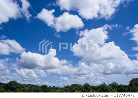 Background material: Refreshing blue sky and white clouds 117746472