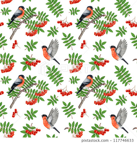 Bullfinch birds with rowan tree elements seamless pattern. Vintage style watercolor illustration. Hand drawn rowan red ripe berries, leaf, forest birds seamless pattern design on white background Bullfinch birds with rowan tree elements seamless pattern. Vintage style watercolor illustration. Hand drawn rowan red ripe berries, leaf, forest birds seamless pattern design on white background 117746633