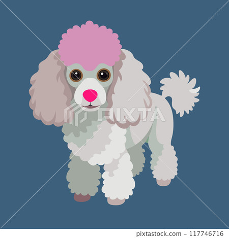 Cute poodle dog vector art illustration design 117746716