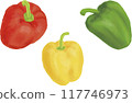 Fresh paprika watercolor 117746973