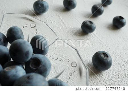 I arranged the large, sweet blueberries I picked on a plate. 117747240