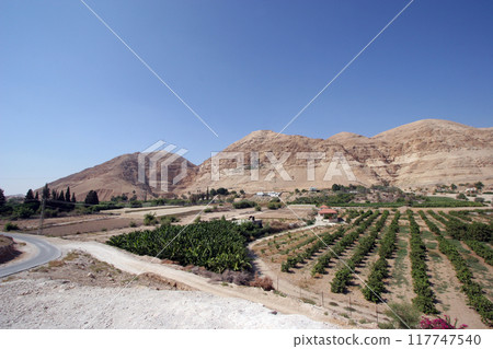 Mount of Temptation near the city of Jericho, Jordan Valley, West Bank, Palestine, Israel 117747540