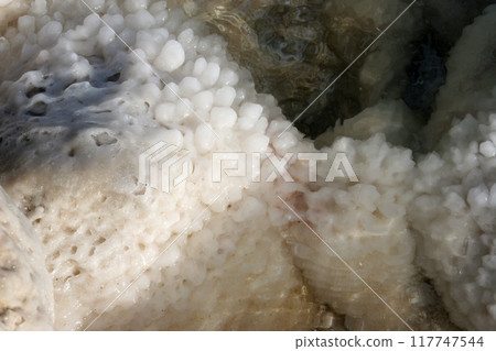 Crystallized salt rocks along the shores of the Dead Sea, Israel Crystallized salt rocks along the shores of the Dead Sea, Israel 117747544