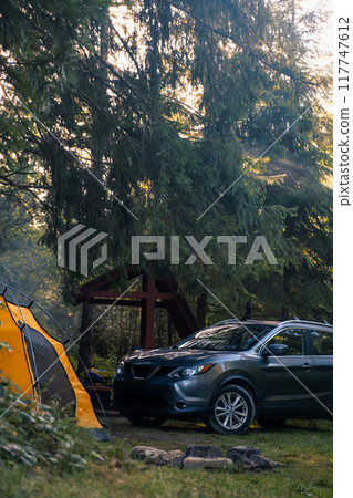 Serene Camping Scene in a Lush Forest 117747612