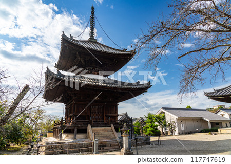 Kaminotaishi, Eifukuji Temple, Tahoto Pagoda on a clear autumn day, Taishi Town, Minamikawachi District, Osaka Prefecture Kaminotaishi, Eifukuji Temple, Tahoto Pagoda on a clear autumn day, Taishi Town, Minamikawachi District, Osaka Prefecture 117747619