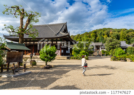 秋季天氣的上太子永福寺院內 大阪府南河內區太子町 秋季天氣的上太子永福寺院內 大阪府南河內區太子町 117747627