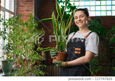 Running of own business. Young woman florist holding plant in pot wearing apron in botanical store. Happy small business owner working at flower shop smiling surrounded by plants. Small business Running of own business. Young woman florist holding plant in pot wearing apron in botanical store. Happy small business owner working at flower shop smiling surrounded by plants. Small business 117747820