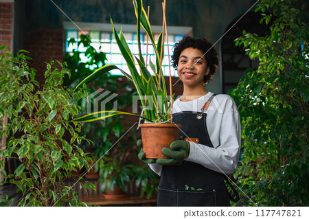 Running of own business. African woman florist holding plant in pot wearing apron in botanical store. Happy small business owner working at flower shop smiling surrounded by plants. Small business Running of own business. African woman florist holding plant in pot wearing apron in botanical store. Happy small business owner working at flower shop smiling surrounded by plants. Small business 117747821