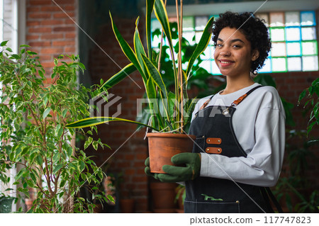Running of own business. African woman florist holding plant in pot wearing apron in botanical store. Happy small business owner working at flower shop smiling surrounded by plants. Small business Running of own business. African woman florist holding plant in pot wearing apron in botanical store. Happy small business owner working at flower shop smiling surrounded by plants. Small business 117747823