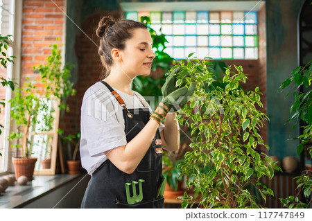 Running of own business. Woman florist wearing apron taking care of green plants in botanical store. Happy small business owner working at flower shop standing surrounded by plants. Small business Running of own business. Woman florist wearing apron taking care of green plants in botanical store. Happy small business owner working at flower shop standing surrounded by plants. Small business 117747849