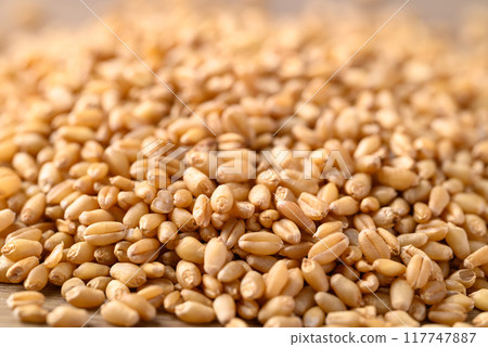Whole wheat grain texture background, Food ingredient 117747887