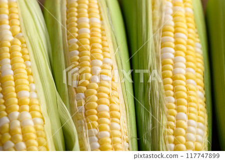 Fresh sweet corn (bicolor) texture background, Close up 117747899