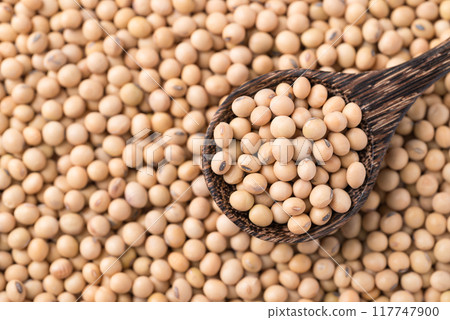 Soy bean seeds in wooden spoon with soy bean background, Top view 117747900