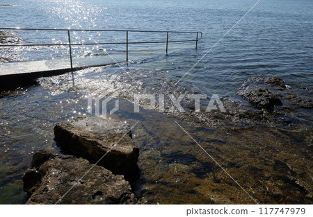 Rocky shore of the Adriatic sea Rocky shore of the Adriatic sea 117747979