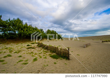 Nakadashima sand dune Nakadashima sand dune 117747990