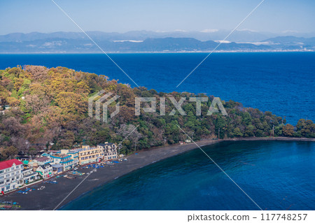 （靜岡縣）大瀨崎海灘 117748257