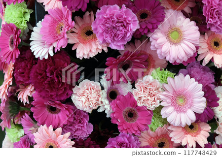 Flowers exposed on Floraart, 51 international garden exhibition in Zagreb Flowers exposed on Floraart, 51 international garden exhibition in Zagreb 117748429